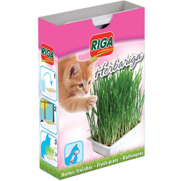 Kit de culture d'herbe pour chat pour femmes - Maroc
